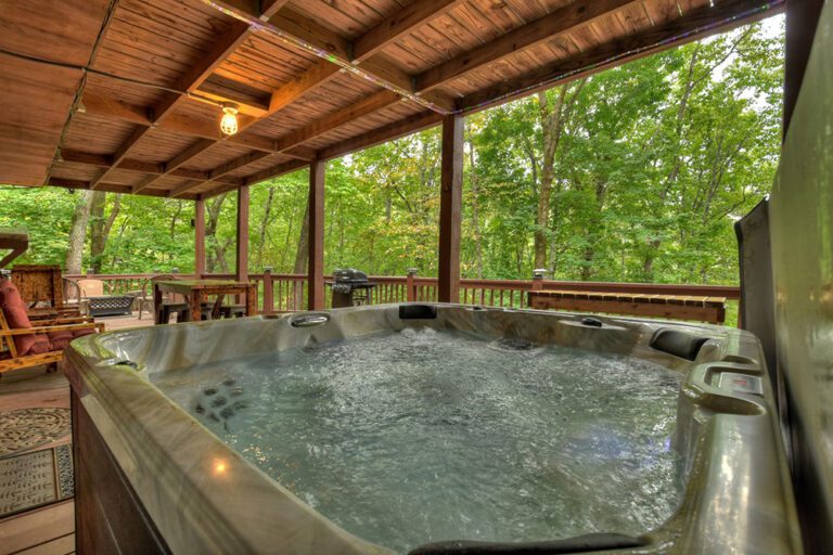 Blue Ridge - Mama Bear's Hideaway - Featured