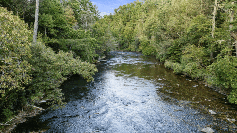 Riverwatch on the Toccoa