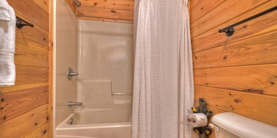 Blue Ridge - Buffalo Ridge - Bathroom