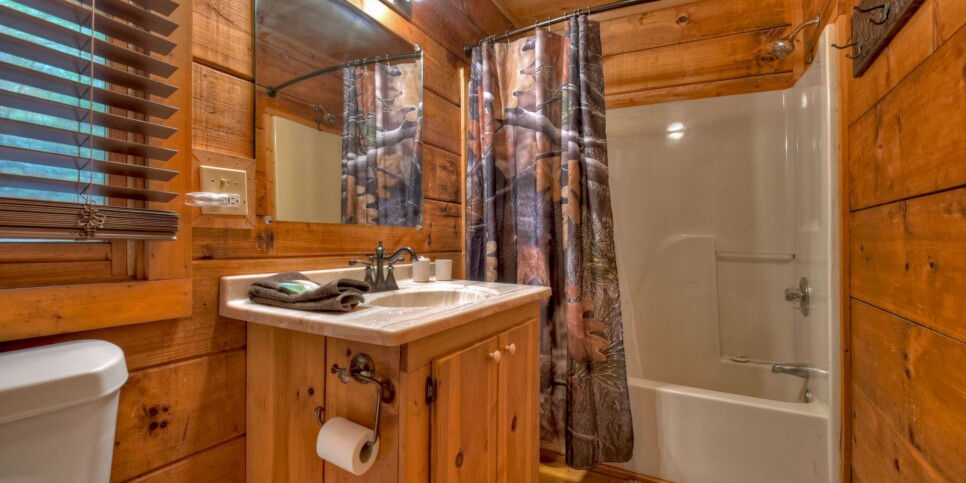 Blue Ridge Cabin - Mamas Bear Hideaway - Bathroom