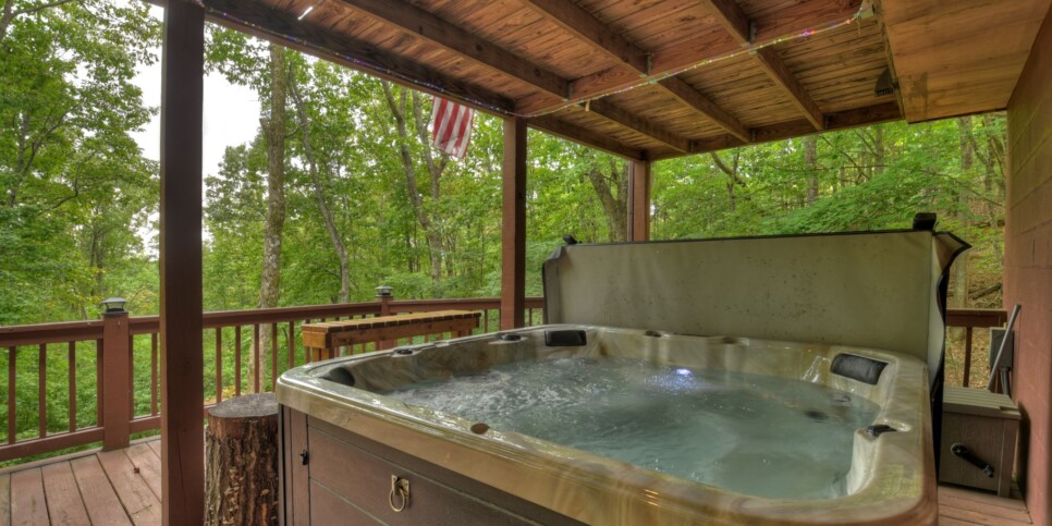 Blue Ridge Cabin - Mamas Bear Hideaway - Exterior