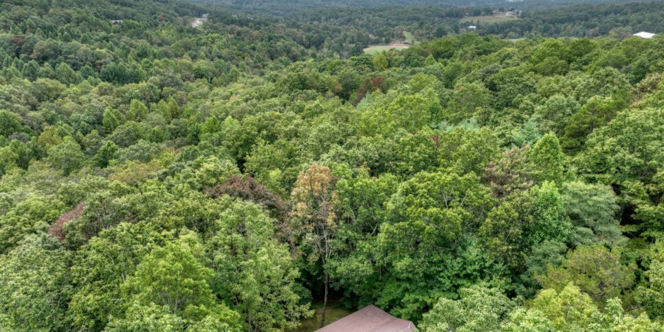 Blue Ridge Cabin - Mamas Bear Hideaway - Exterior