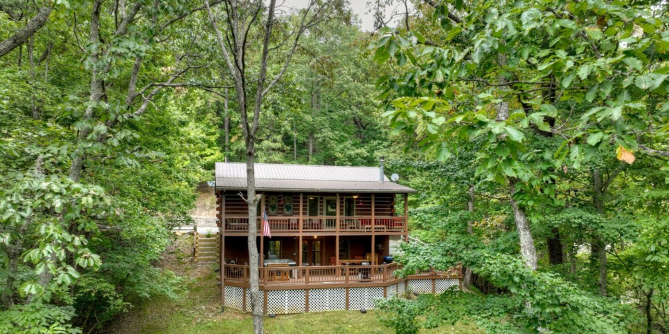 Blue Ridge Cabin - Mamas Bear Hideaway - Exterior