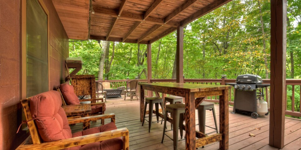 Blue Ridge Cabin - Mamas Bear Hideaway - Exterior