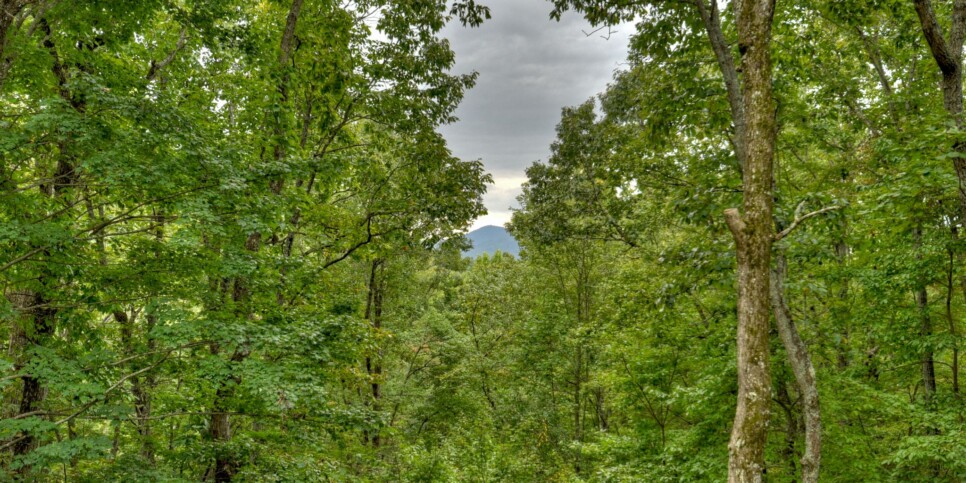 Blue Ridge Cabin - Mamas Bear Hideaway - Exterior