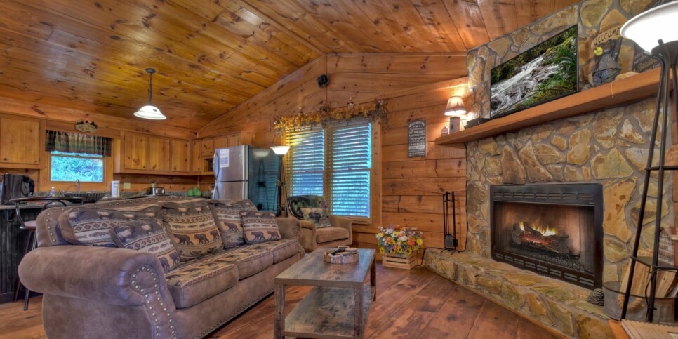 Blue Ridge Cabin - Mamas Bear Hideaway - Living Room