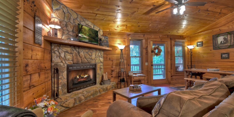 Blue Ridge Cabin - Mamas Bear Hideaway - Living Room