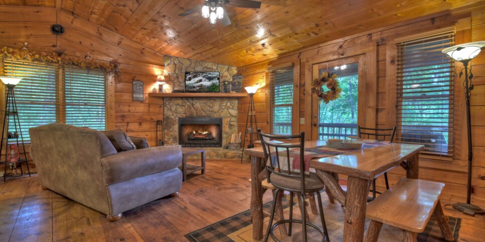 Blue Ridge Cabin - Mamas Bear Hideaway - Living Room