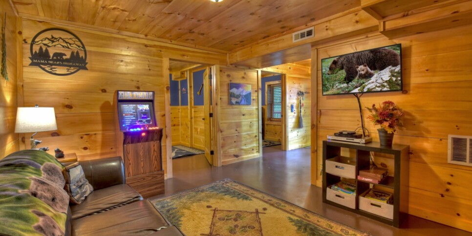 Blue Ridge Cabin - Mamas Bear Hideaway - Rec Room