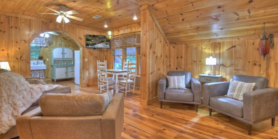 Blue Ridge Cabin - Snowbird Sanctuary & Snowbird Nest - Living Room