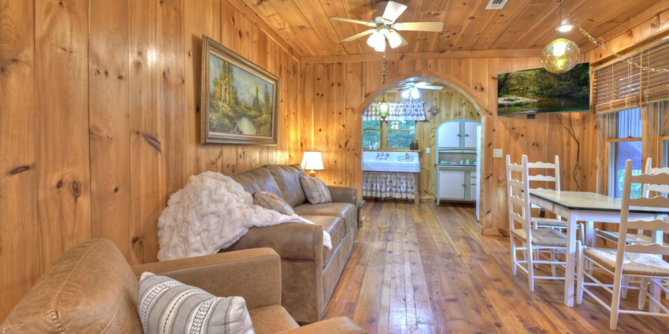 Blue Ridge Cabin - Snowbird Sanctuary & Snowbird Nest - Living Room