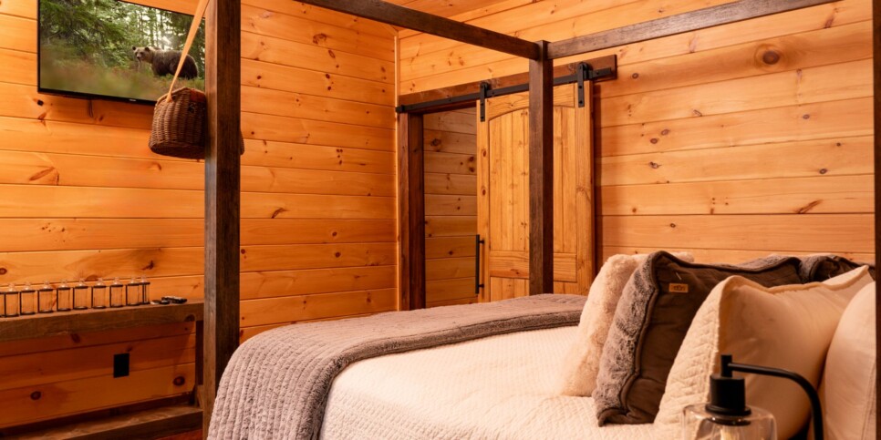 Blue Ridge Cabin - Toccoa River Mist - Bedroom