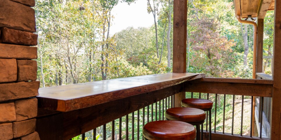 Blue Ridge Cabin - Toccoa River Mist - Exterior