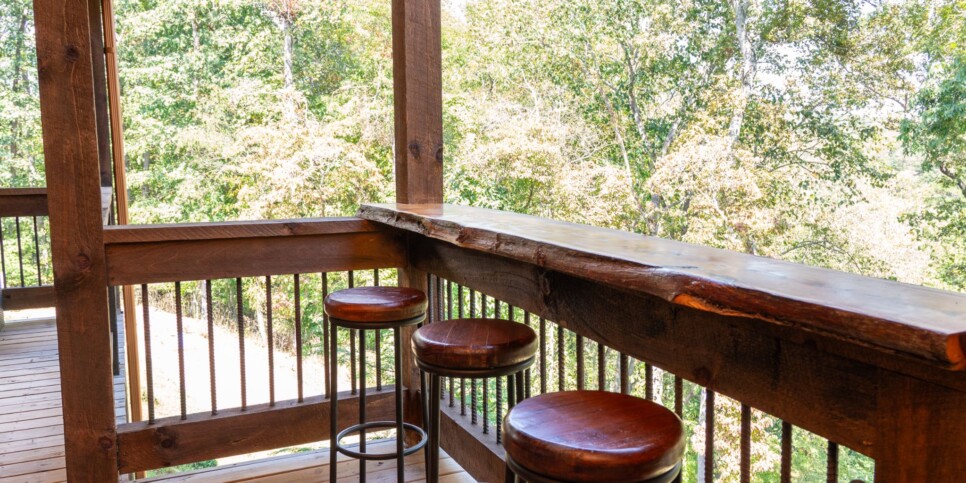 Blue Ridge Cabin - Toccoa River Mist - Exterior