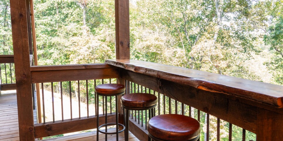 Blue Ridge Cabin - Toccoa River Mist - Exterior