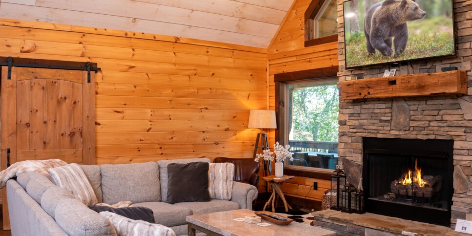 Blue Ridge Cabin - Toccoa River Mist - Living Room