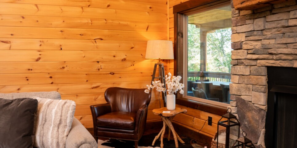 Blue Ridge Cabin - Toccoa River Mist - Living Room