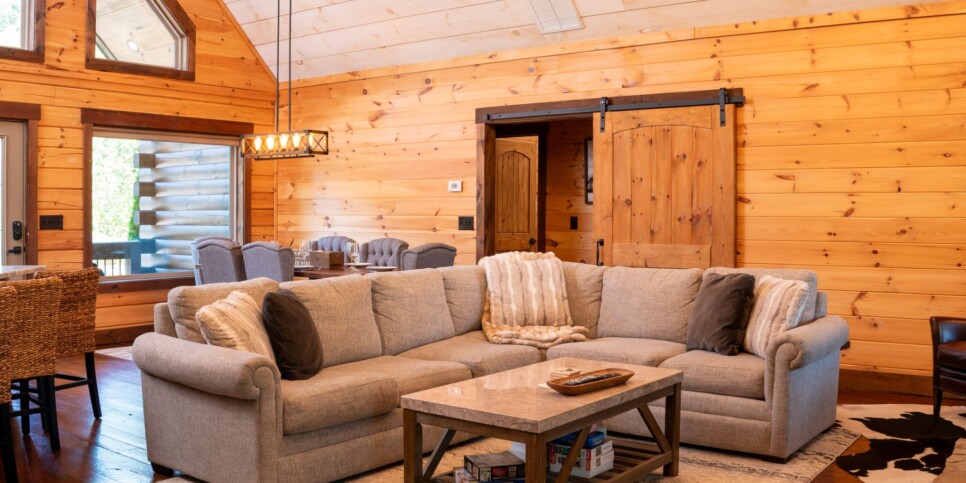Blue Ridge Cabin - Toccoa River Mist - Living Room