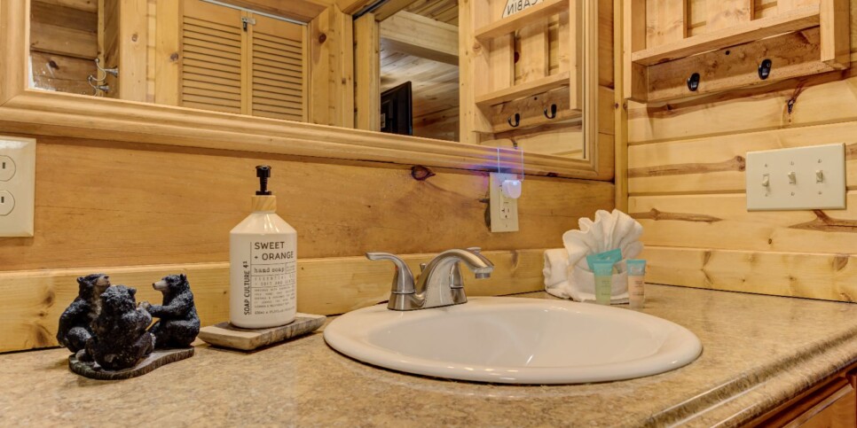 Blue Ridge - Four Seasons - Bathroom