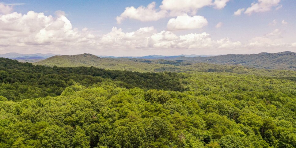 Blue Ridge - Four Seasons - Exterior