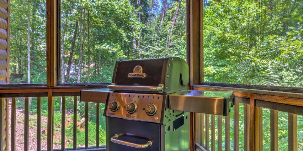 Blue Ridge - Four Seasons - Exterior