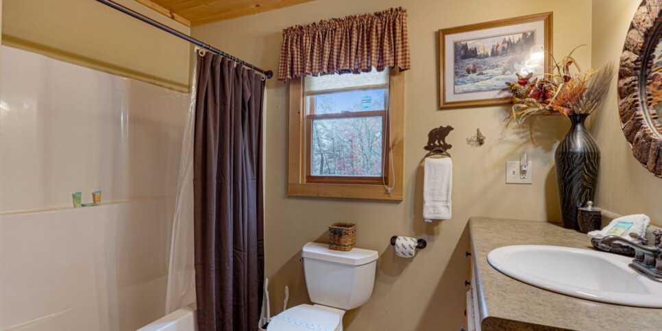 Blue Ridge - Mountain Therapy - Bathroom