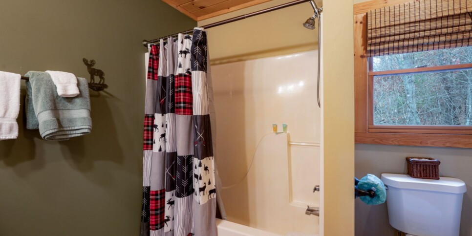 Blue Ridge - Mountain Therapy - Bathroom