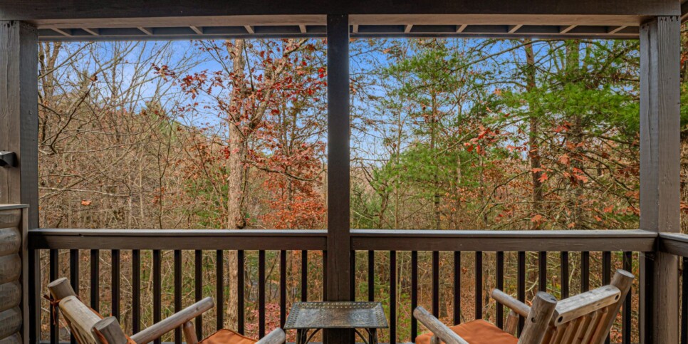 Blue Ridge - Mountain Therapy - Exterior