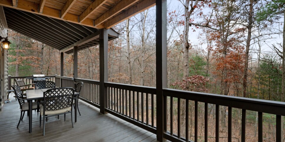 Blue Ridge - Mountain Therapy - Exterior