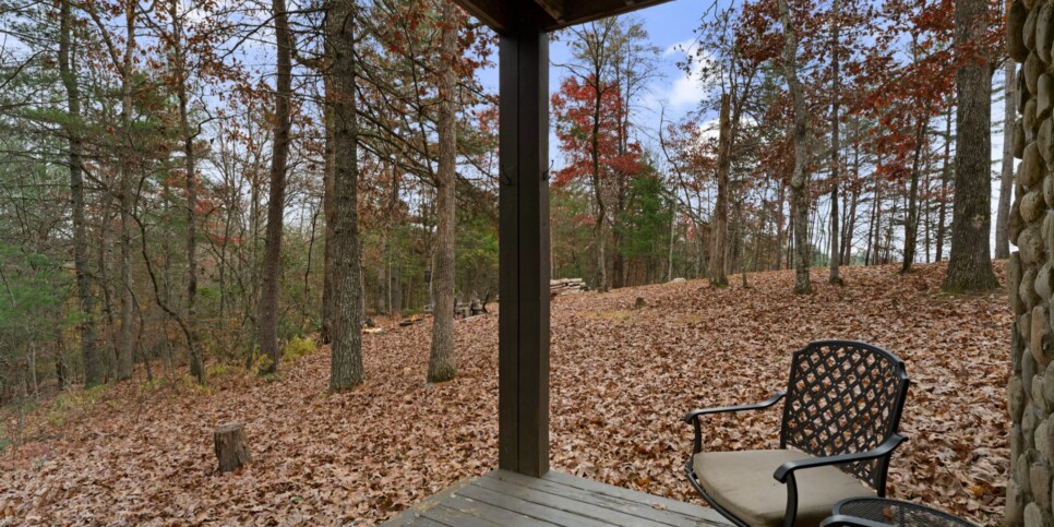 Blue Ridge - Mountain Therapy - Exterior