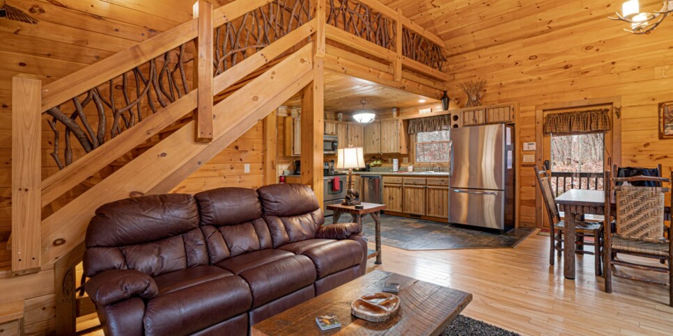 Blue Ridge - Mountain Therapy - Living Room