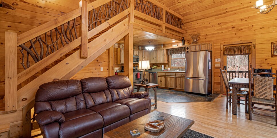 Blue Ridge - Mountain Therapy - Living Room