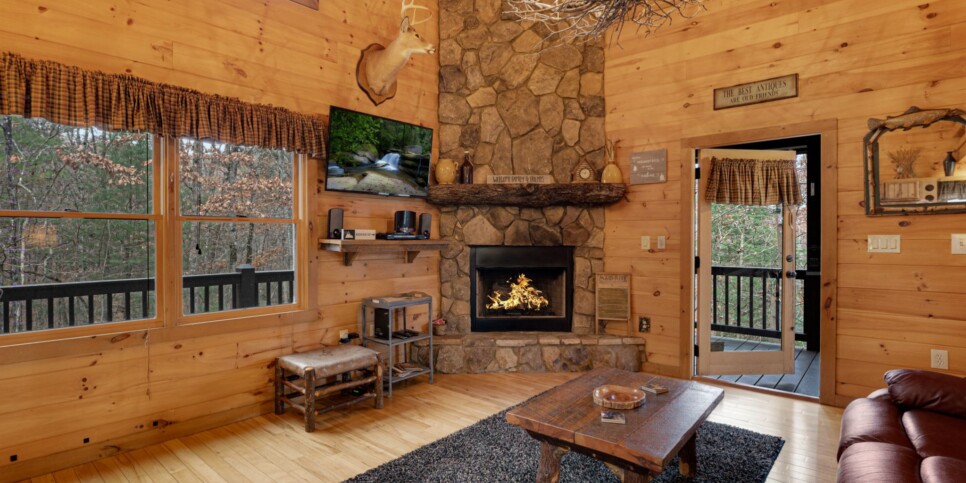Blue Ridge - Mountain Therapy - Living Room
