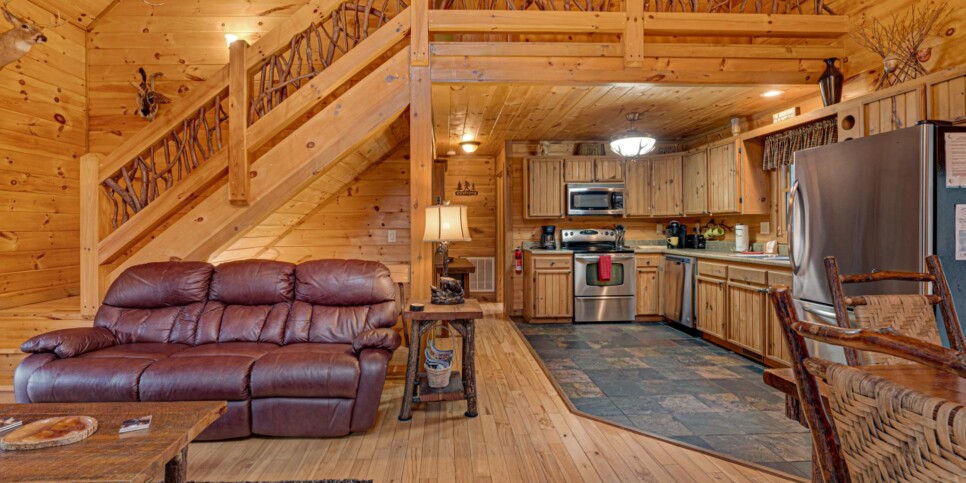 Blue Ridge - Mountain Therapy - Living Room