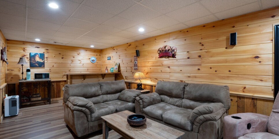 Blue Ridge - Mountain Therapy - Rec Room