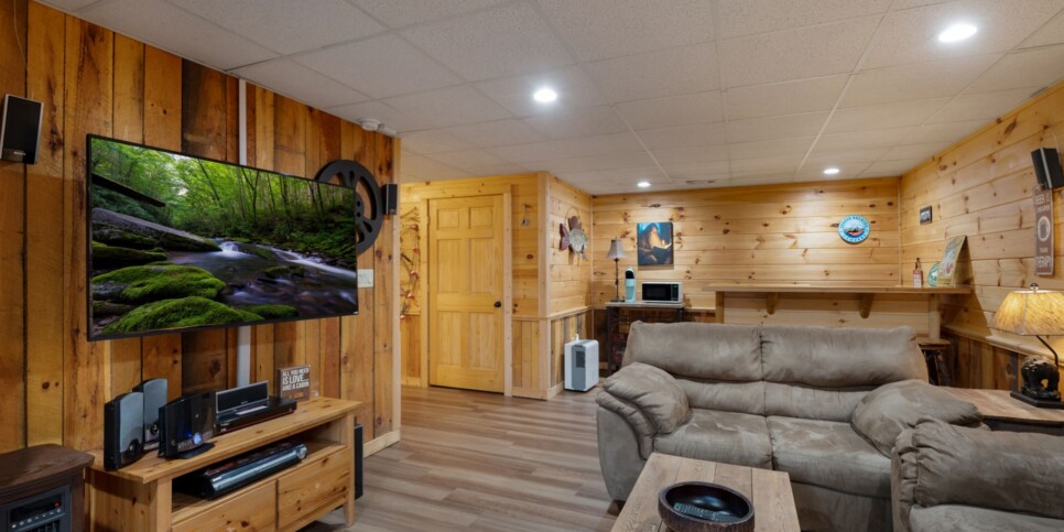 Blue Ridge - Mountain Therapy - Rec Room