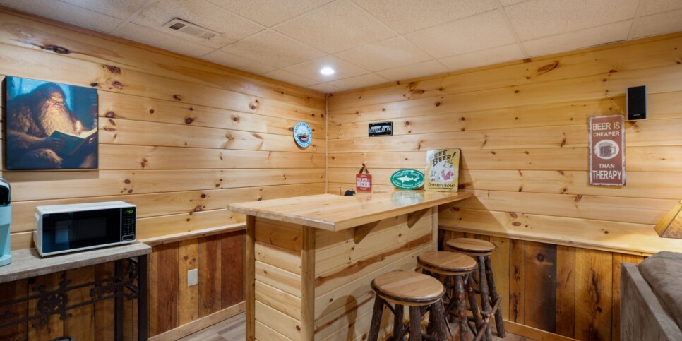 Blue Ridge - Mountain Therapy - Rec Room
