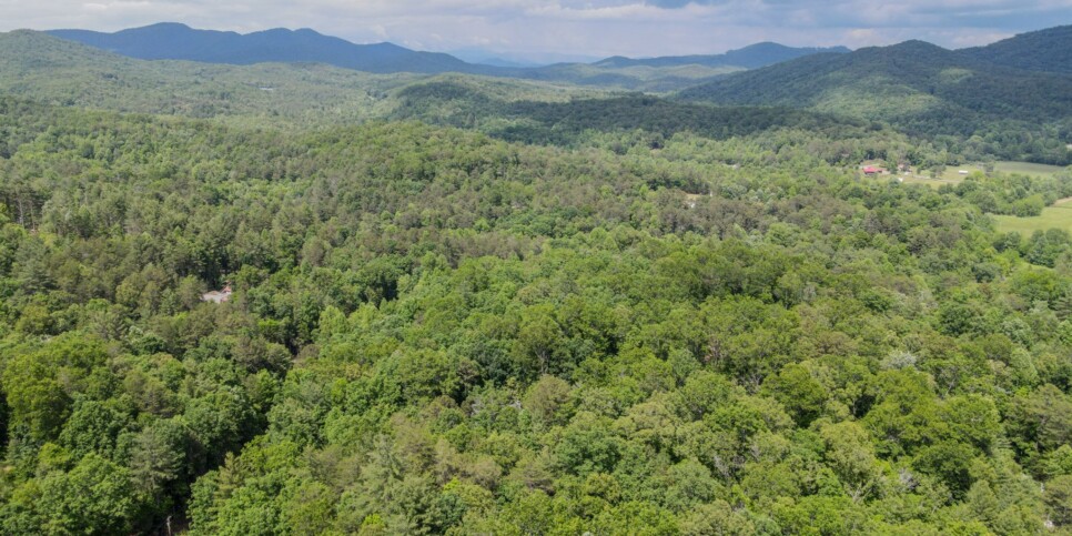 Blue Ridge Cabin - Snowbird Sanctuary - Drones