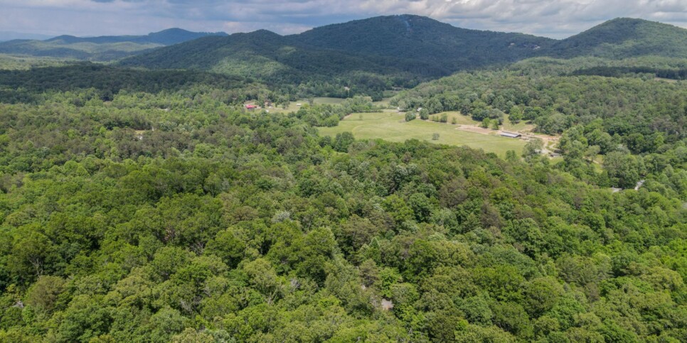 Blue Ridge Cabin - Snowbird Sanctuary - Drones