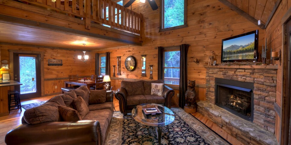 Blue Ridge Cabin - Castle Creek - Living Room
