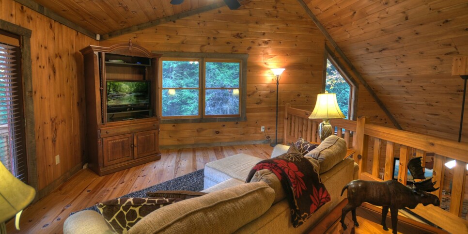 Blue Ridge Cabin - Castle Creek - Rec Room