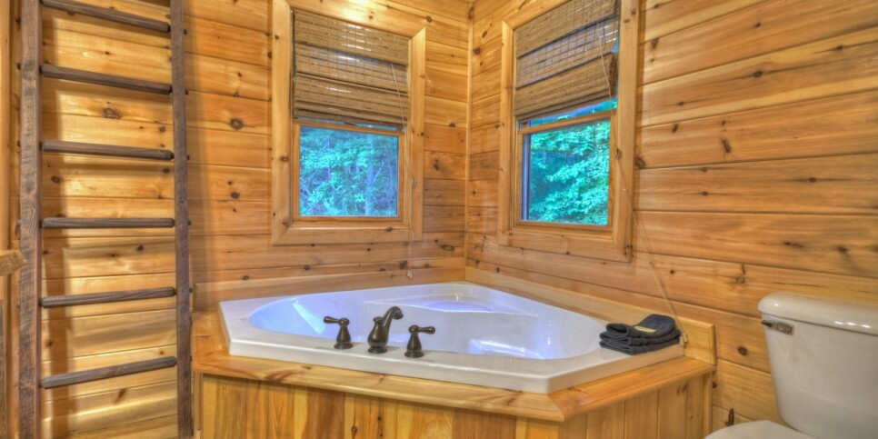 Blue Ridge - Eagles Landing - Bathroom