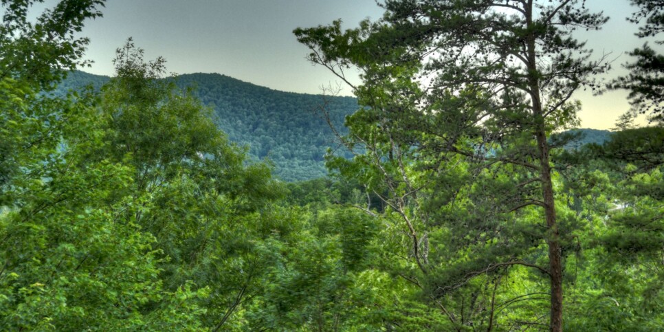 Blue Ridge - Eagles Landing - Exterior