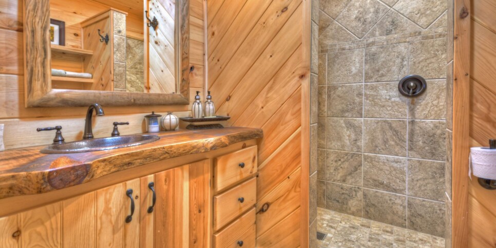 Blue Ridge - Pursuit of Happiness - Bathroom