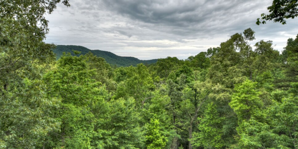 Blue Ridge - Pursuit of Happiness - Exterior