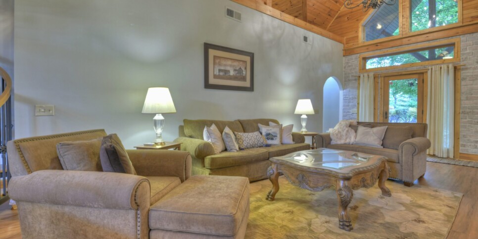 Blue Ridge Cabin - Snowbird Sanctuary & Snowbird Nest - Living