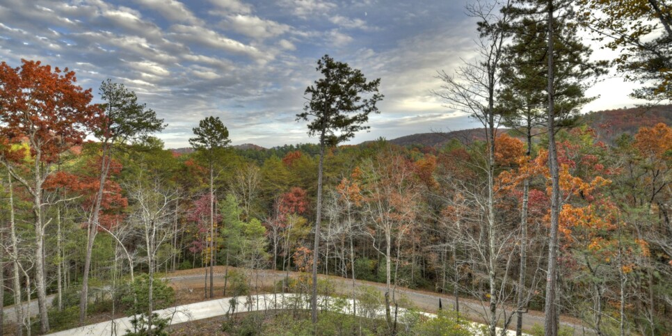 georgia-a-starry-night-cabin-exterior-23