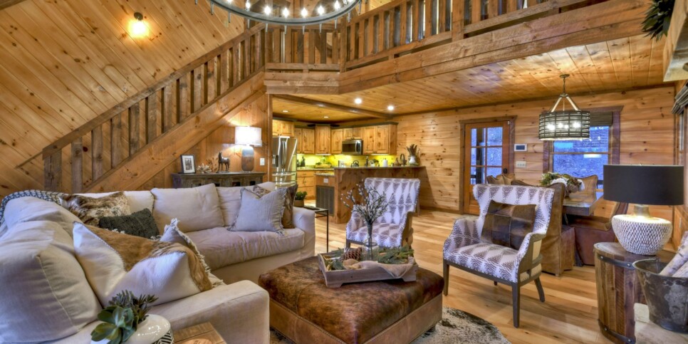 georgia-a-starry-night-cabin-living-3