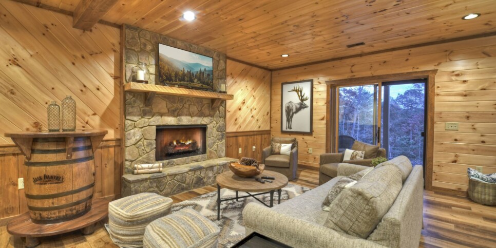 georgia-a-starry-night-cabin-living-5