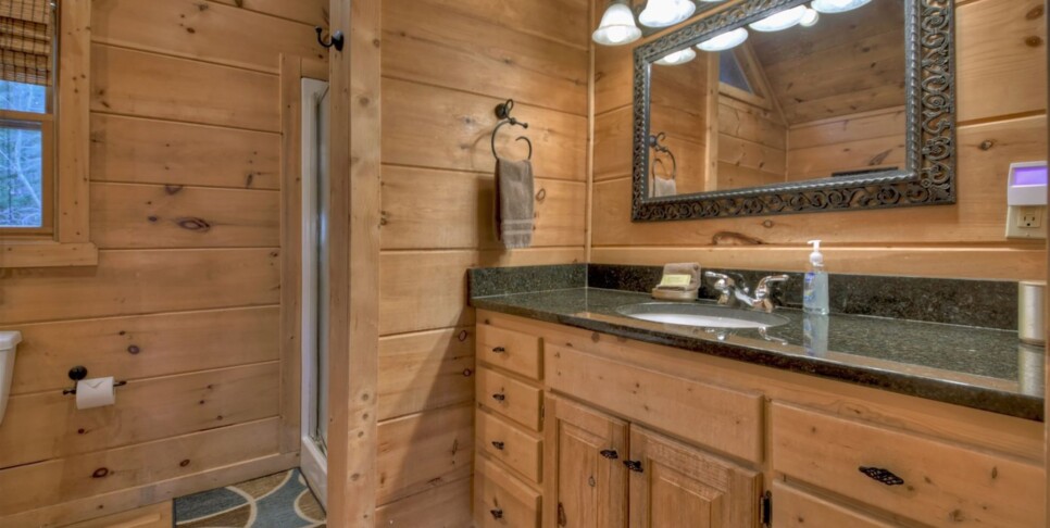 Mineral Bluff - Almost Heaven - Bathroom